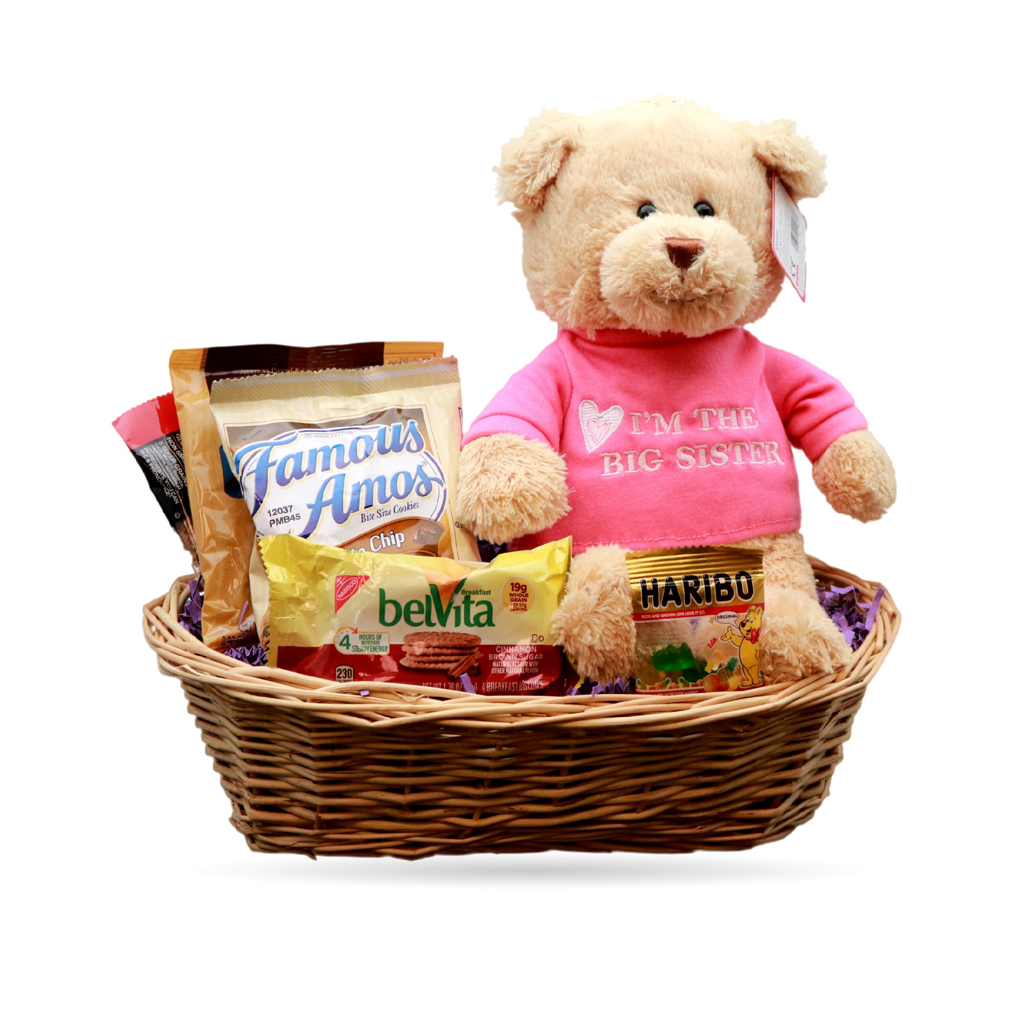 big sister teddy bear gift